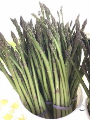 Asparagus (LFH)