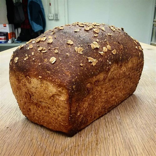 Whole Wheat sandwich loaf